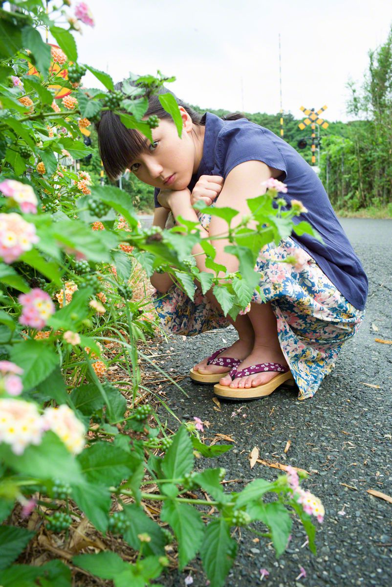 夏日限定二维码